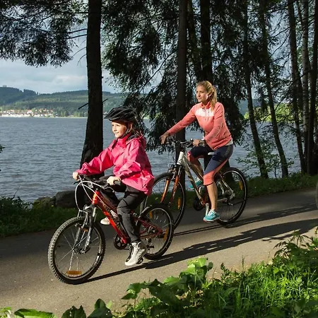 Rezidence Club Canada Lipno Sauna Wifi Parking Apartmanhotel