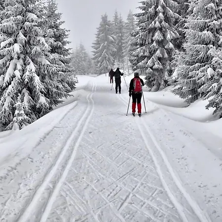 Apartmanhotel Rezidence Club Canada Lipno Sauna Wifi Parking Lipno nad Vltavou